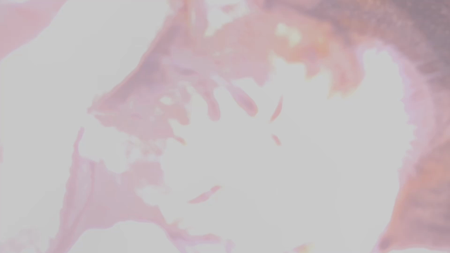師走突っ走るの記事動画
