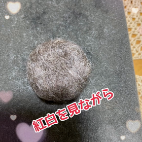年末年始の画像