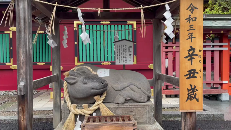 【パワスポ講座＆代理祈願募集中】金運爆上！！一生お金に困らなくなる神社の記事動画