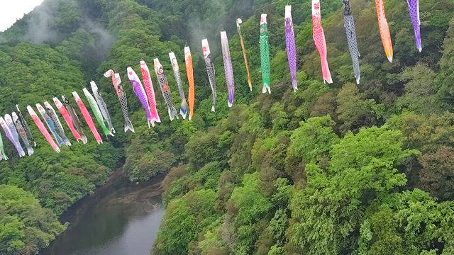 霧が取れてきた動画(^^)/の記事動画