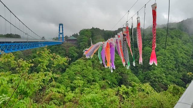 彩りある人生となれの記事動画