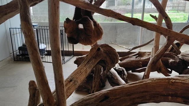 1日数時間なんだよ(^^)/の記事動画