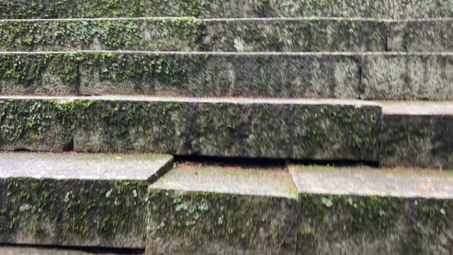 本殿・拝殿改修工事を終えた名草神社の記事動画