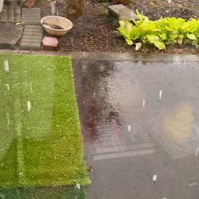 初雪と成人式の画像