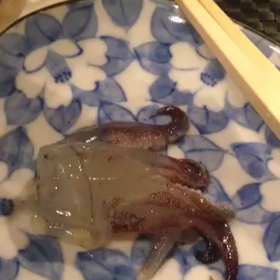 活イカその2の画像