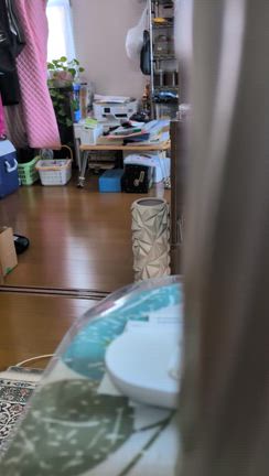 失敗！の記事動画