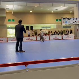 パールの初ショー　in 大阪インターの画像