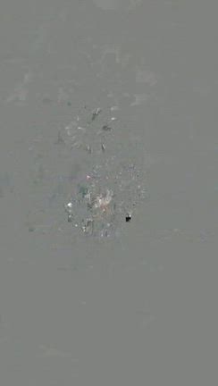 雪上花火の記事動画