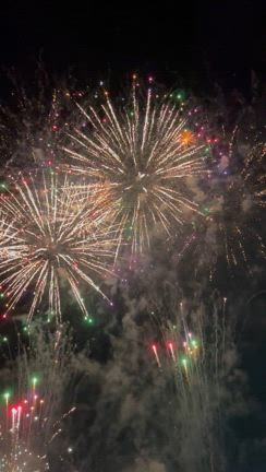 今年の夏の記事動画
