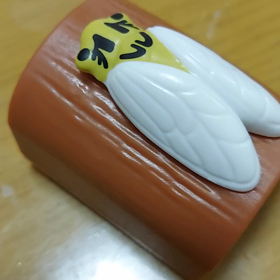 つくつくぼうし♪(((^^;)の画像