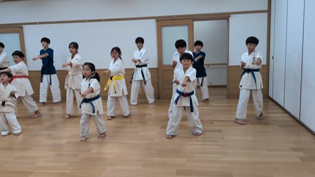 演武会に向けて…の記事動画