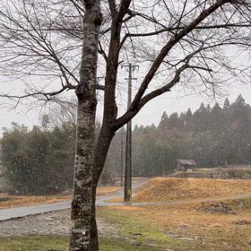 雪が降った寒い日の画像