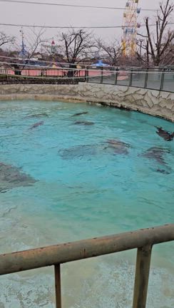 地活＠動物園の記事動画