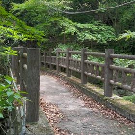 ８日の不動護摩供養の画像