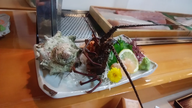 昔、波乗り、今、朝市の記事動画