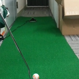 ☆戻って来るとっ☆の画像