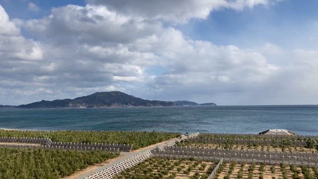 ”１３年ですね。”の記事動画