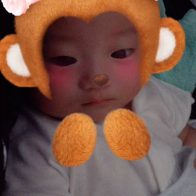 (´･ω･`;)の画像