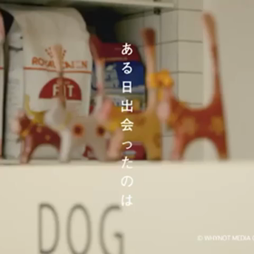 マカロンに甘いKissを添えての画像