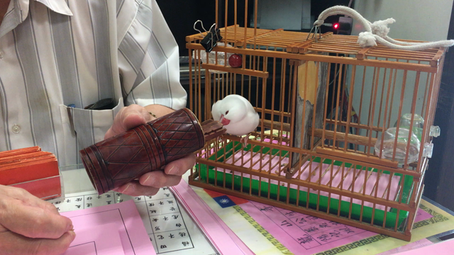 台湾旅行記(14) 文鳥占いの記事動画