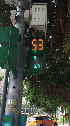 台湾旅行記⑧ 朝散歩の記事動画