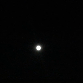 お疲れ様でした(^-^)vの画像