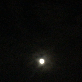 今夜の、おまけの画像