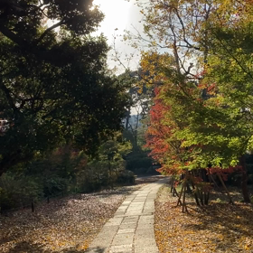 12月12日の画像