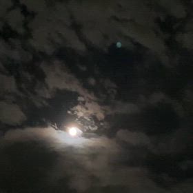 月光の画像