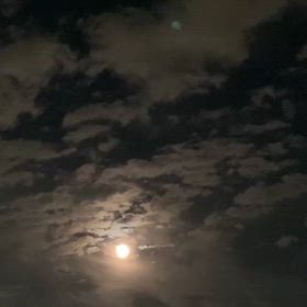 月の画像