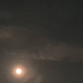 満月の画像