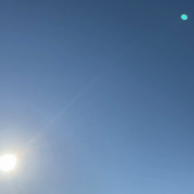 今日も良い天気♪の画像