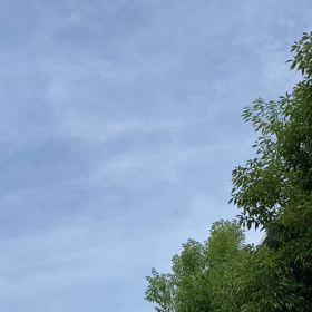 夏を感じるの画像