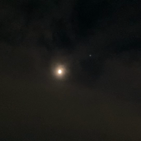 今日は幻想的の画像