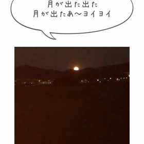 月が出た出た月が出たモモ‼️の画像