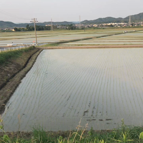 田植え完了の画像