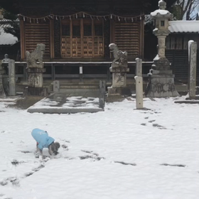 雪景色の神社とモモの画像