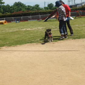 初めてのフリスビーの画像