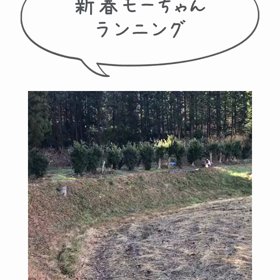 今年も駆け抜けるぞ❣️の画像