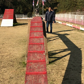 久しぶりのアジリティの画像