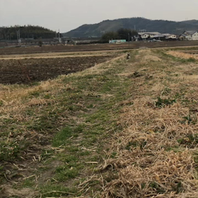 モーチャン元気‼️の画像