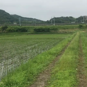 散歩がまんの季節の画像