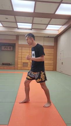 ウォーミングアップ〜膝蹴りステップ〜の記事動画